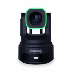 BirdDog X4 Ultra Wireless 4K PTZ Camera (Black)